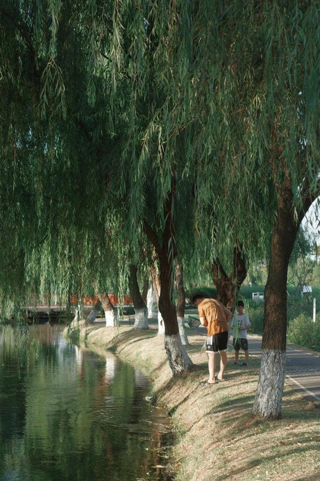 “东方明珠”？初秋带娃往高处去！AG真人试玩平台长沙人有自己的(图3)