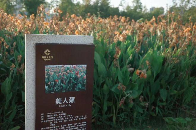 “东方明珠”？初秋带娃往高处去！AG真人试玩平台长沙人有自己的(图6)