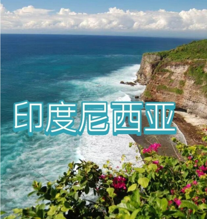 国际电商(印尼)产业博览会AG真人旗舰厅